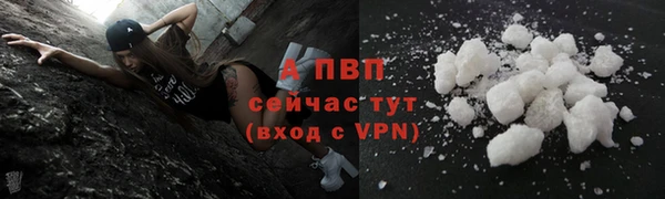 тгк Алексин