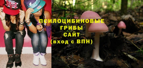 тгк Алексин