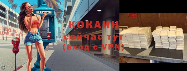 тгк Алексин