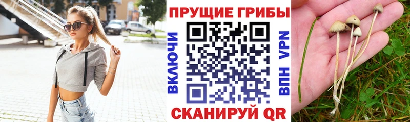Галлюциногенные грибы мухоморы  Алексин 