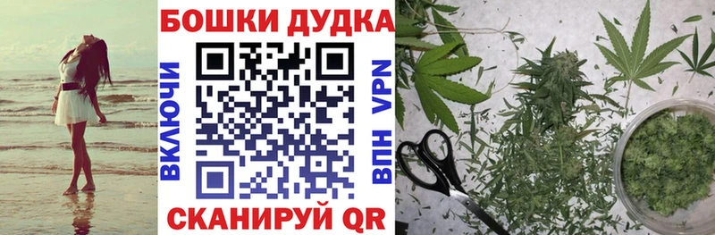 Шишки марихуана план  гидра маркетплейс  Алексин  наркота 